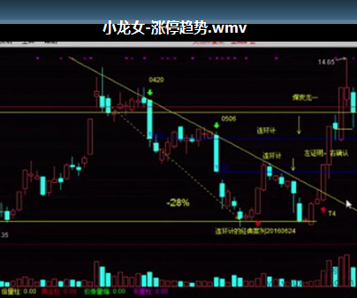 小龙女涨停趋势视频课