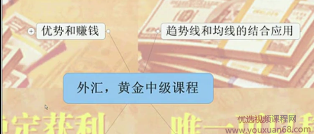 蔡度宇金融视频合集 含入门，中级，高级，交易系统课程