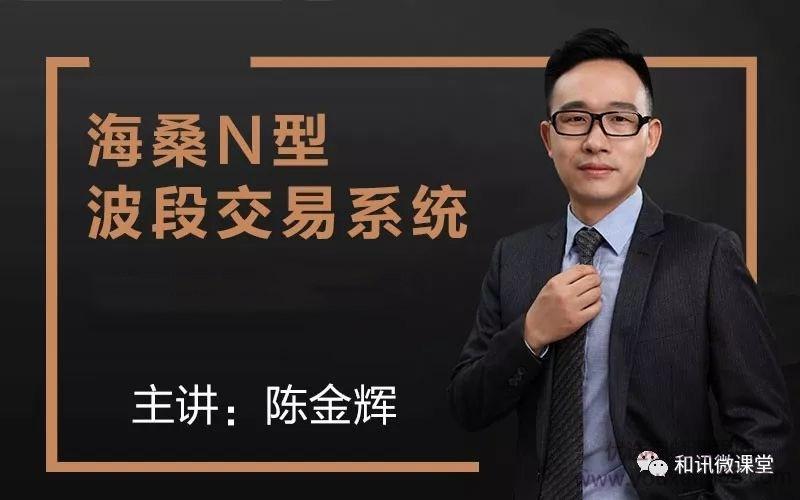 海桑（陈金辉）：N型波段交易系统 期货课程