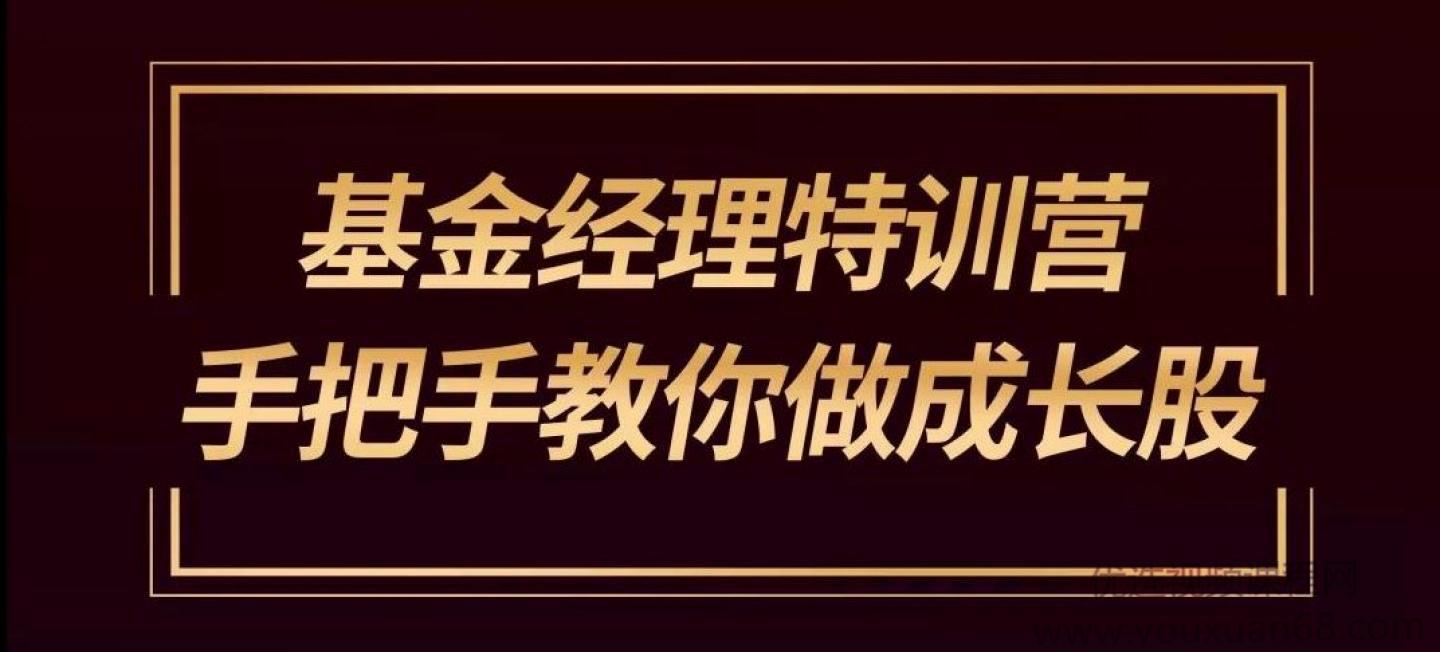 雷恩镇杰哥：基金经理特训营手把手教你学成长股