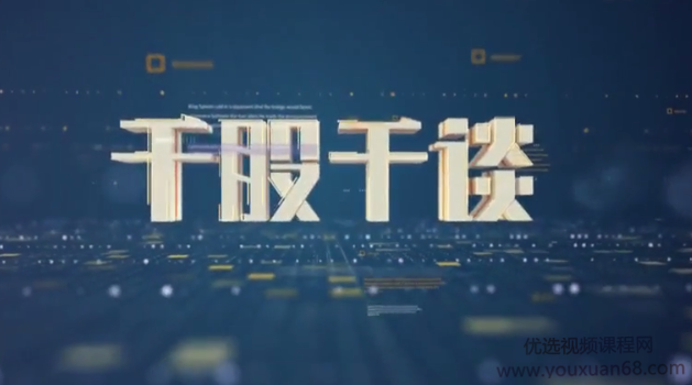 新浪理财师超级投资家 千股千谈 个股基本面分析视频23集