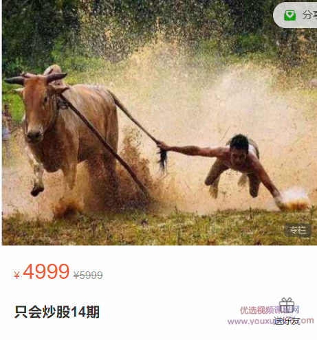 股哥训练营 只会炒股14期