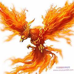 不死鸟韦一6.19月月翻倍的最优低吸战法 PDF文档