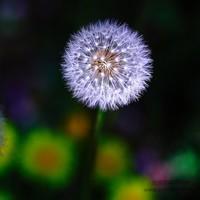 2020山中策市三期·A股独立走势启航