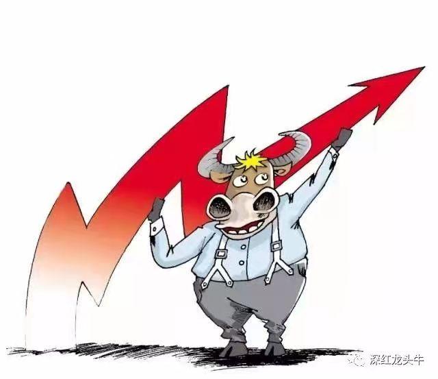 牛哥实战训练营四期