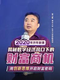 翟山鹰：揭秘数字经济风口下的财富商机（32集全）
