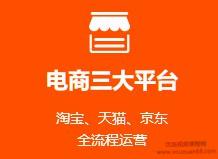 高级电商运营，覆盖京东、天猫、淘宝，14天培训完整版课程