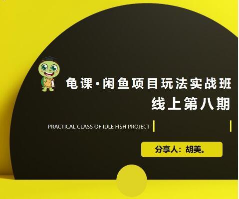 宅男：闲鱼项目玩法实战班·第8期（第1节）市场分析及准备细节，选品/...