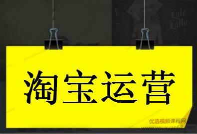 2020年零基础淘宝SEO运营实战，大数据时代精细化运营流程