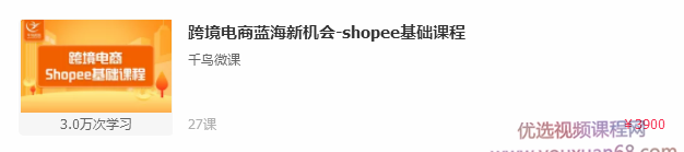 千鸟微课2020跨境电商蓝海新机会-SHOPEE基础课程（27节课）