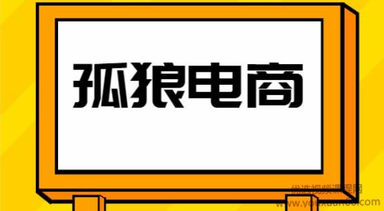 孤狼电商店群VIP教程：孤狼店群2021-禅中说电商
