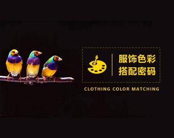服饰色彩 怎样寻找到属于自己的色彩搭配密码？