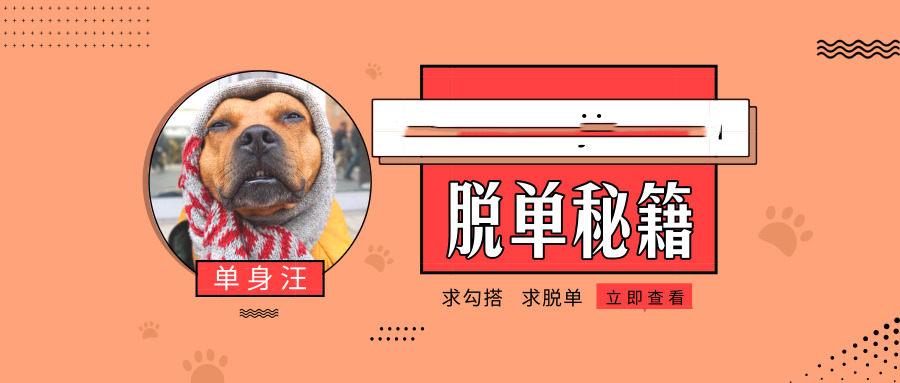 直男快速脱单秘籍