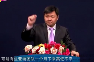 销售经理系统班合集讲座视频