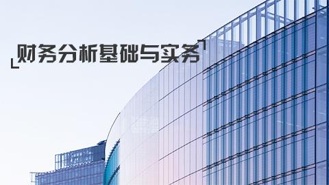 [华尔街学堂]财务分析基础与实务