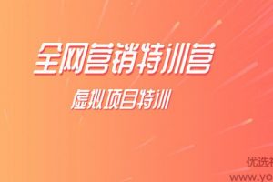 陆明明2019全网营销特训营虚拟项目特训