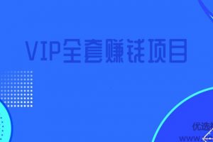 暴疯团队VIP全套赚钱项目课程