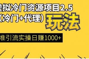 虚拟冷门资源项目（冷门及代理玩法） 精准引流实操日赚1000+(完结)