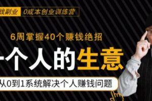 0成本6周掌控40个赚钱绝招，在家年入10万【39节实战视频独家赚钱精华笔...