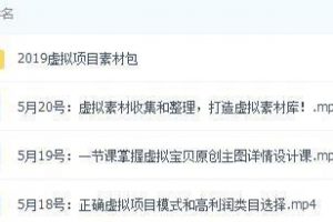 2019年虚拟项目：自动盈利系统（虚拟项目素材包）