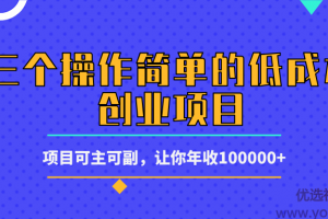 三个操作简单的低成本创业项目，可主可副 让你年入100000+【视频教程】...