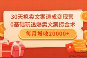 雨涛老师30天疯卖文案速成变现营，0基础玩透爆卖文案捞金术！每月增收...
