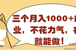 三个月入1000+的副业项目，不花力气，在家就能做！【视频教程】