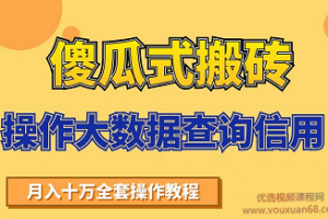 搬砖操作大数据查询信用项目赚钱教程，祝你快速月入6万