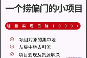 柚子团队课程：一个捞偏门的小项目，轻松实现日赚1000+