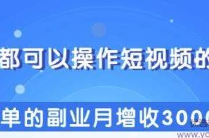 柚子团队内部课程：人人都可以操作短视频的项目，简单的副业月增收300...