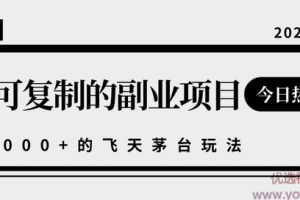 揭秘人人可复制的副业项目，能够实现日入10000+的撸飞天茅台玩法【视频...