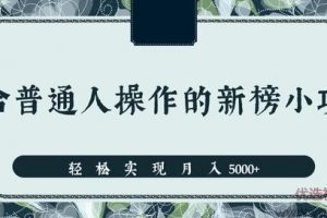 分享一个适合普通人操作的赚钱项目，新手也能轻松实现月入5000+【视频...