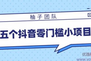 柚子团队五个抖音零门槛赚钱小项目，趁着年前小赚一笔【视频教程】