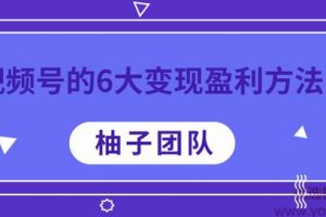 视频号的6大变现盈利方法，每一种做到极致都能年赚100W+【视频课程】 ...