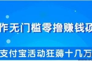 柚子团队内部项目：操作无门槛零撸赚钱项目，利用支付宝项目狂薅十几万...