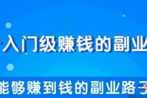 柚子团队内部课程：教你一些能够赚到钱的副业路子，每天轻松多赚几十几...