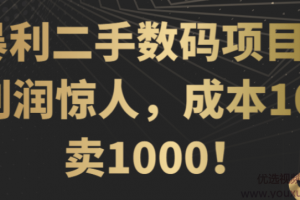 暴利二手数码项目，利润惊人，成本100卖1000！