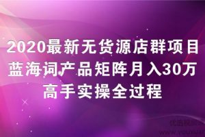 2020最新无货源店群项目，蓝海词产品矩阵月入30万，高手实操全过程（视...