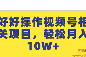 好好操作视频号相关项目，轻松月入10W+「视频教程」