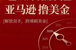 亚马逊撸美金项目，0基础跨境赚美金，解放双手，跨境刷美金【视频课程...