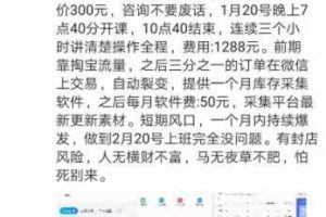 黄小黄淘宝虚拟产品百单玩法，利润对半，短期风口，一个月内持续爆发 ...