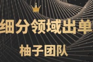 闲鱼细分领域暴力出单玩法，低成本轻松做到单号月入5000+【视频教程】...