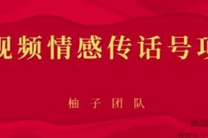 短视频情感传话号项目，细分领域的赚钱门道【视频课程】
