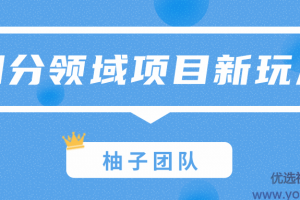 细分领域项目新玩法，特殊的赚钱思维打造一份巨额收入