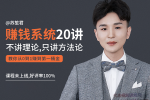 苏笙君的赚钱系统20课 教你从0到1赚到你的第一桶金（不讲理论，只讲方...