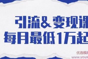 引流变现课：分享一整套流量方法以及各个渠道收入，每月最低1万起