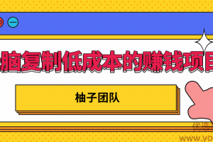 无脑复制低成本的赚钱项目，小白也能日赚200+