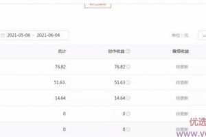 绅白不白工作室撸金二件套：撸今日头条原创收益+小红书一单利润40块项...