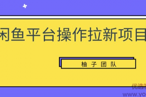 闲鱼平台操作拉新项目，单笔起步利润100+