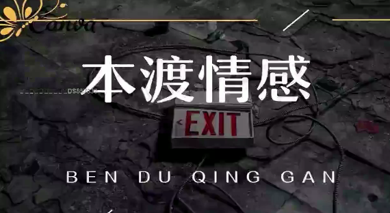 本渡情感《新私教》含恋爱九阴真经、私密课、心法